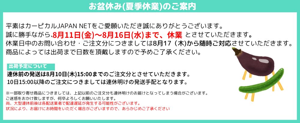 リョービの電動シングルアクションポリッシャーPE-2100とマジック装着